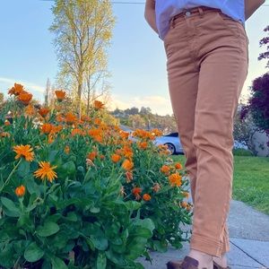 Everlane Straight Leg Crop